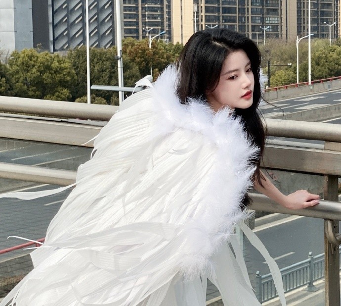 闻香识女人 封面